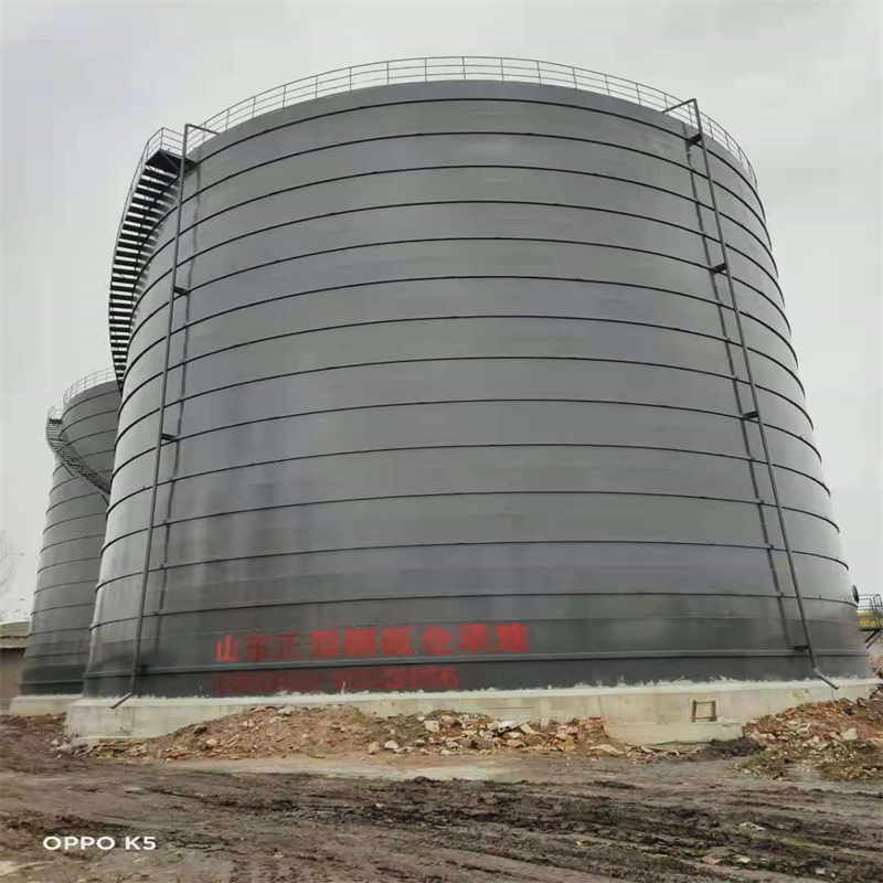 通江3万吨大型钢板库